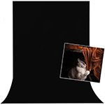 Black Screen